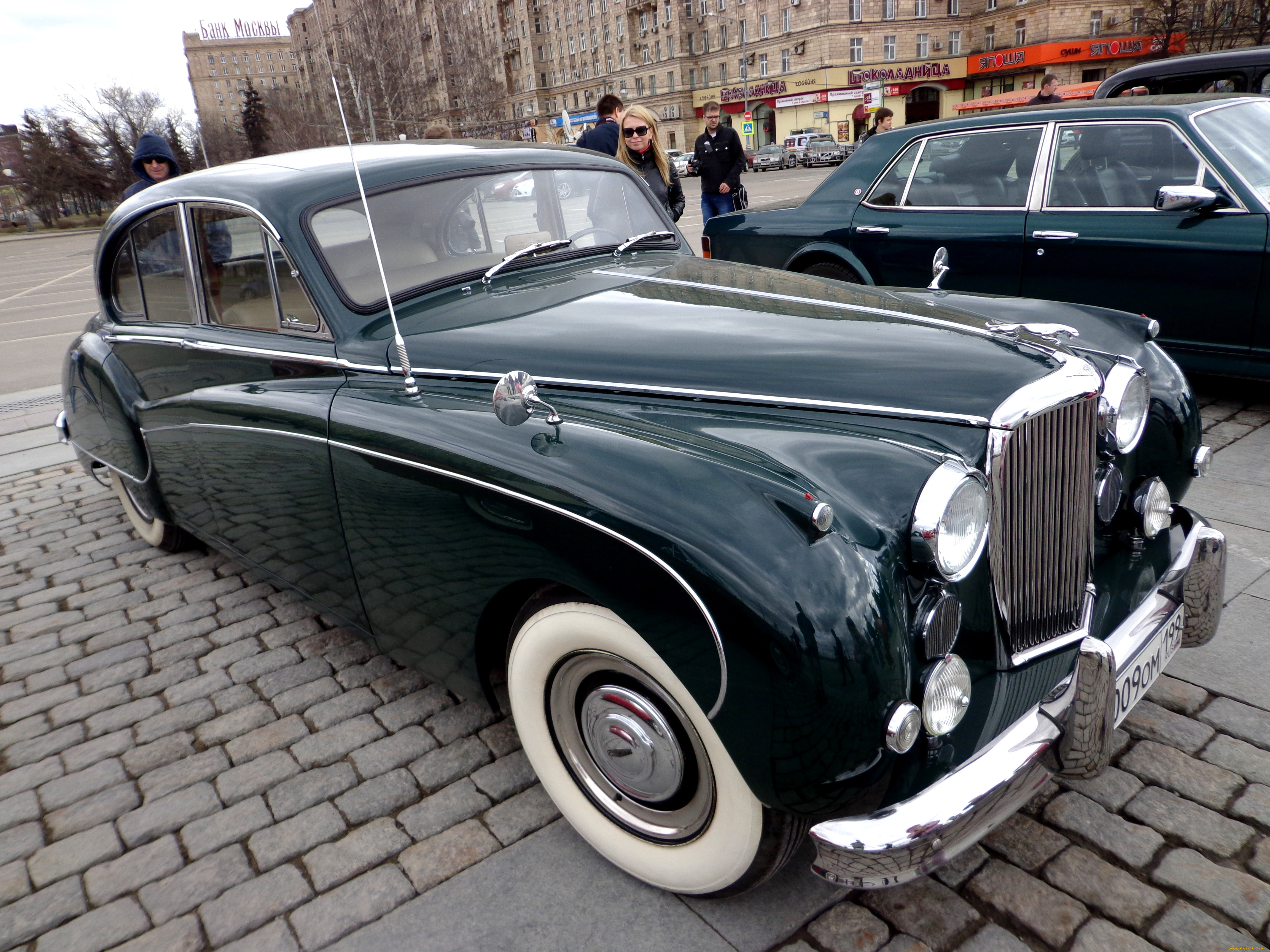 ,    , jaguar, 